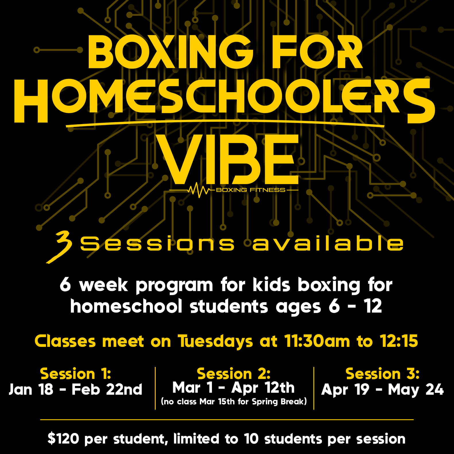 Boxing for Homeschoolers: Spring 2022